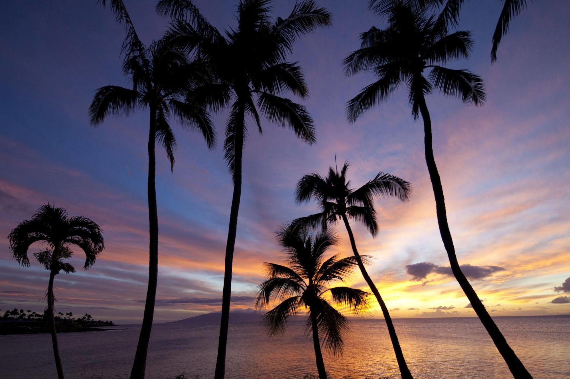 Napili Kai Beach Resort Kapalua Kültér fotó